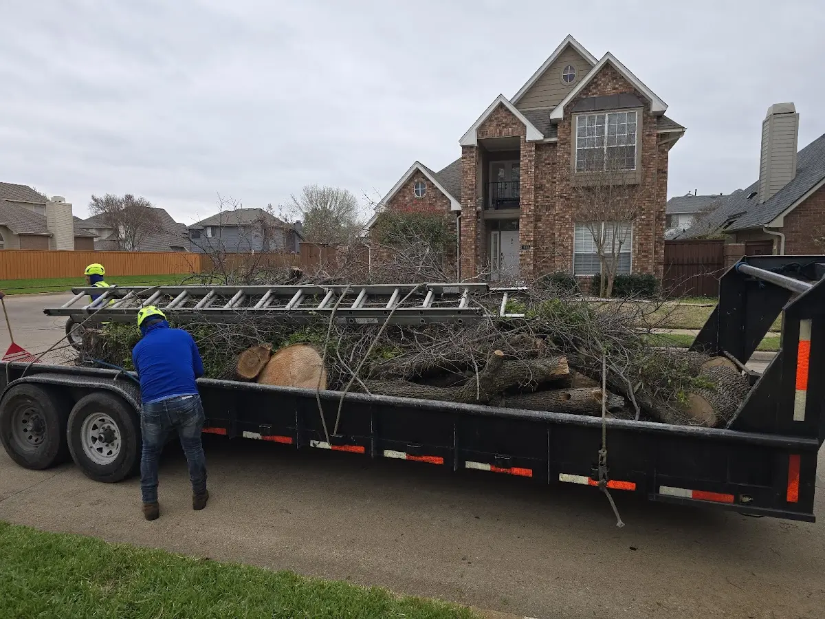 Expert Tree Pest Control with proper safety equipment in Sharptown
